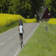 Panoramaruten på cykel