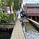 Grønne Østerbro - Jonas Kongstad